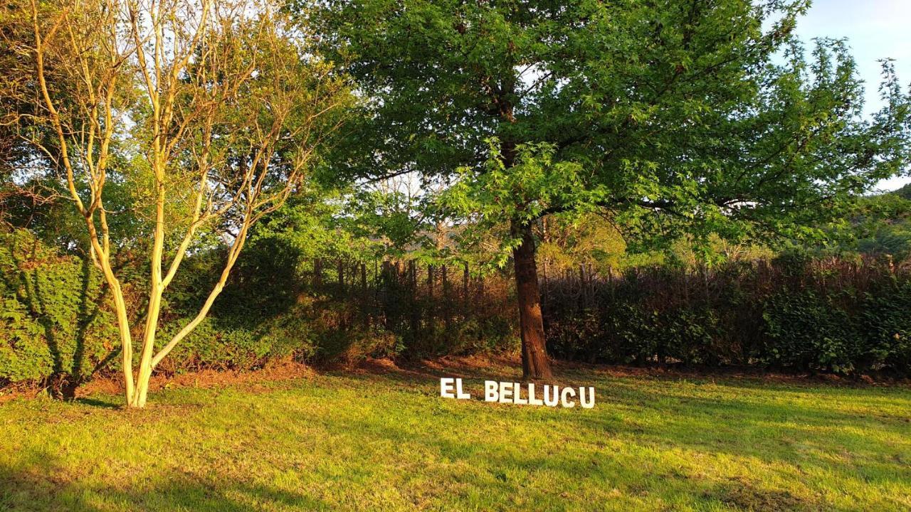 Casa Rural El Bellucu Onís Exterior foto